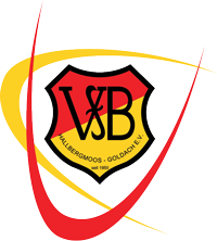 VfB Halbergmoos-Goldach